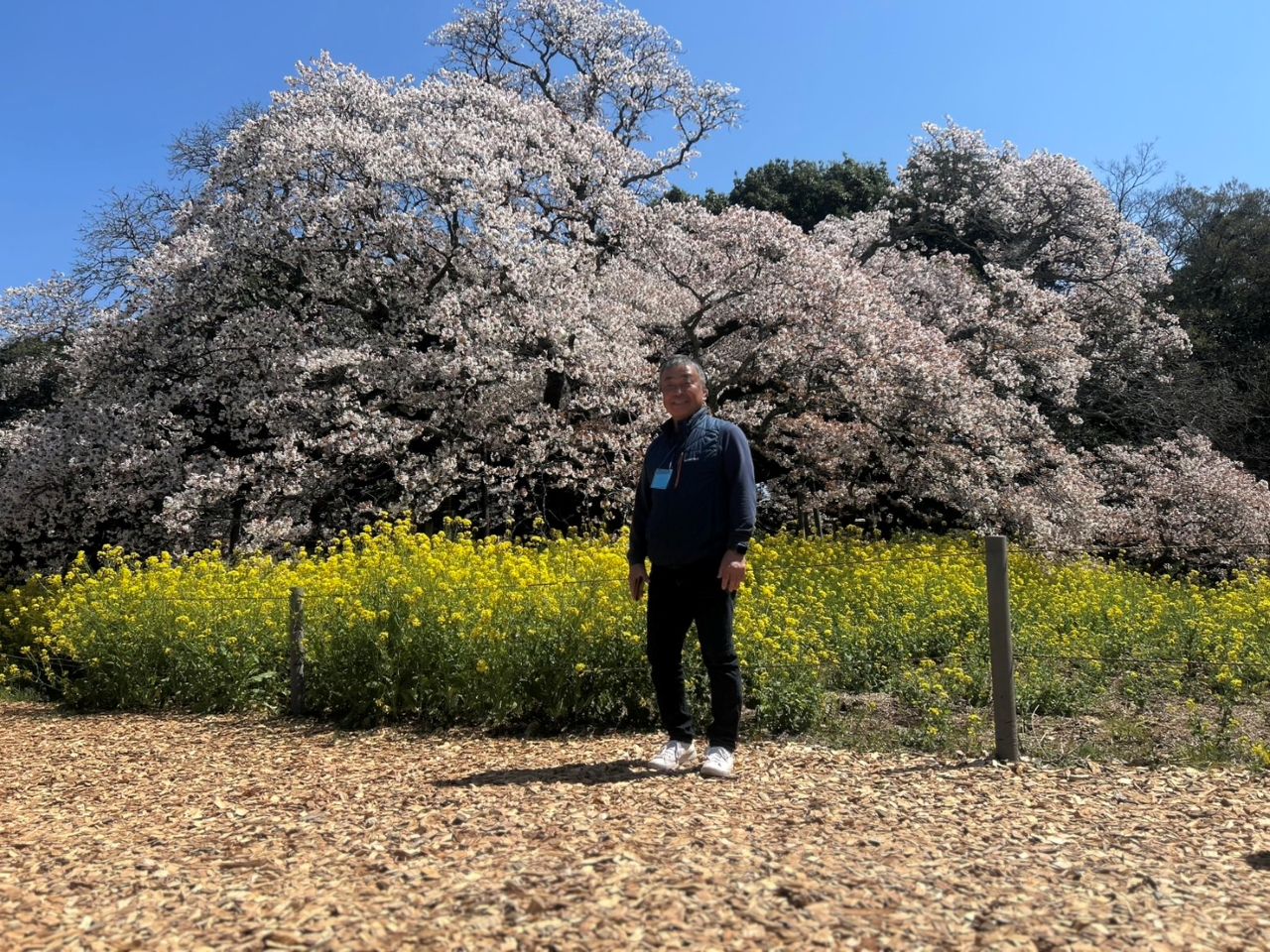 新着情報 - 愛樹園 | 愛樹園